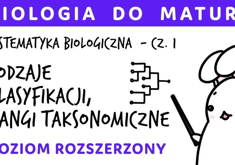 Co to jest systematyka w biologii i dlaczego jest tak ważna?