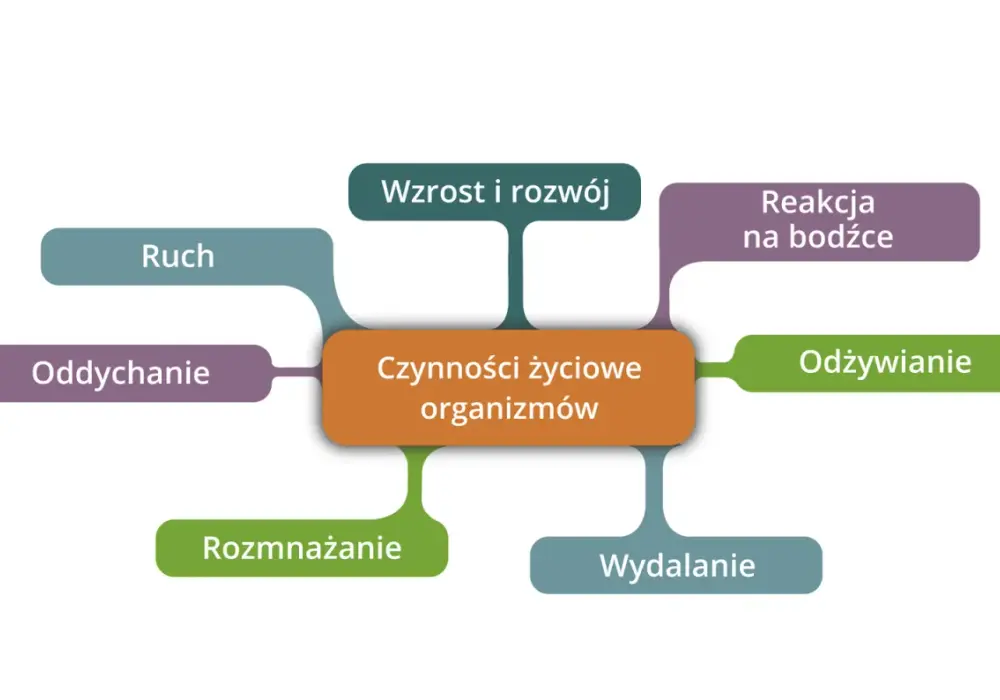 Cechy organizmów żywych - Co naprawdę odróżnia życie od materii?