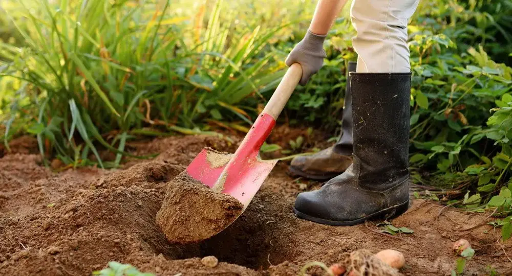 Jak jest łopata po angielsku? Odkryj różnice między shovel a spade