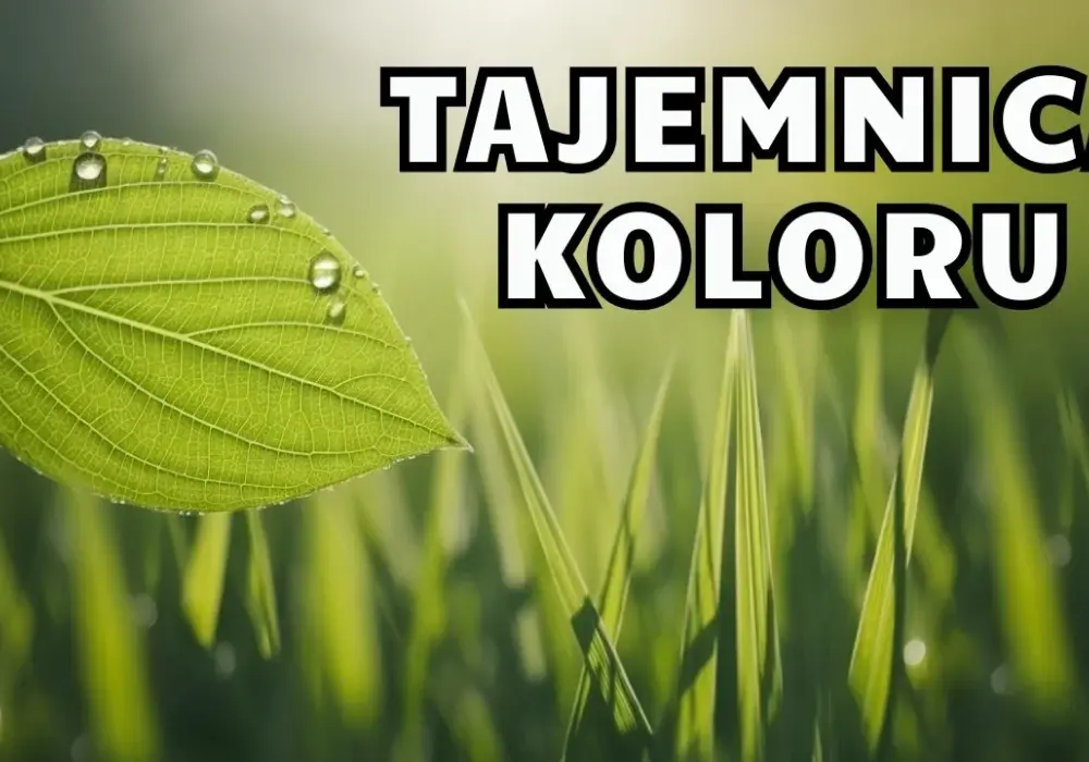 Dlaczego trawa jest zielona? Nauka o chlorofilu i fizyce światła