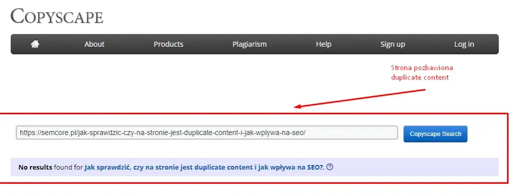 Jak sprawdzić duplicate content i uniknąć problemów z SEO