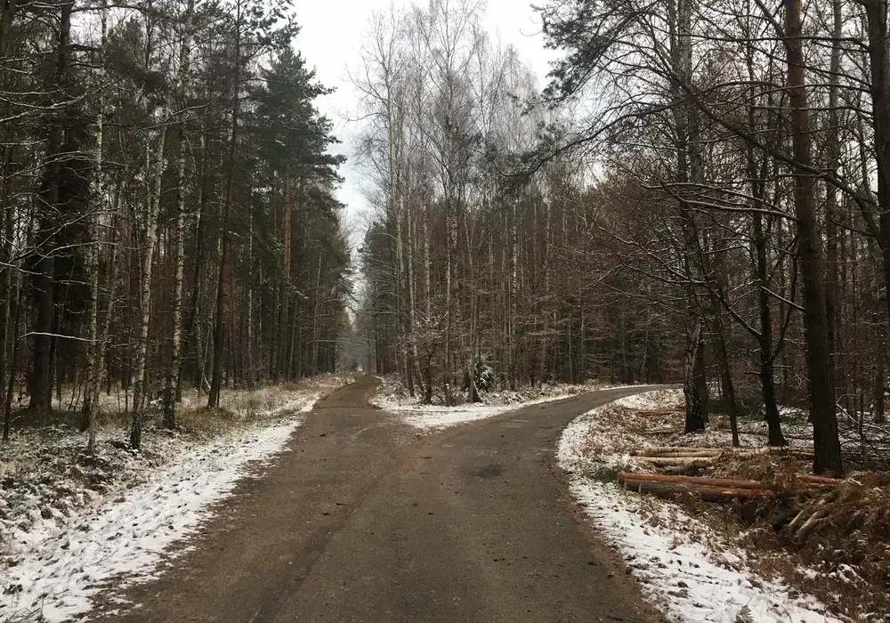 Puszcza Dulowska trasy rowerowe - odkryj najlepsze szlaki i atrakcje