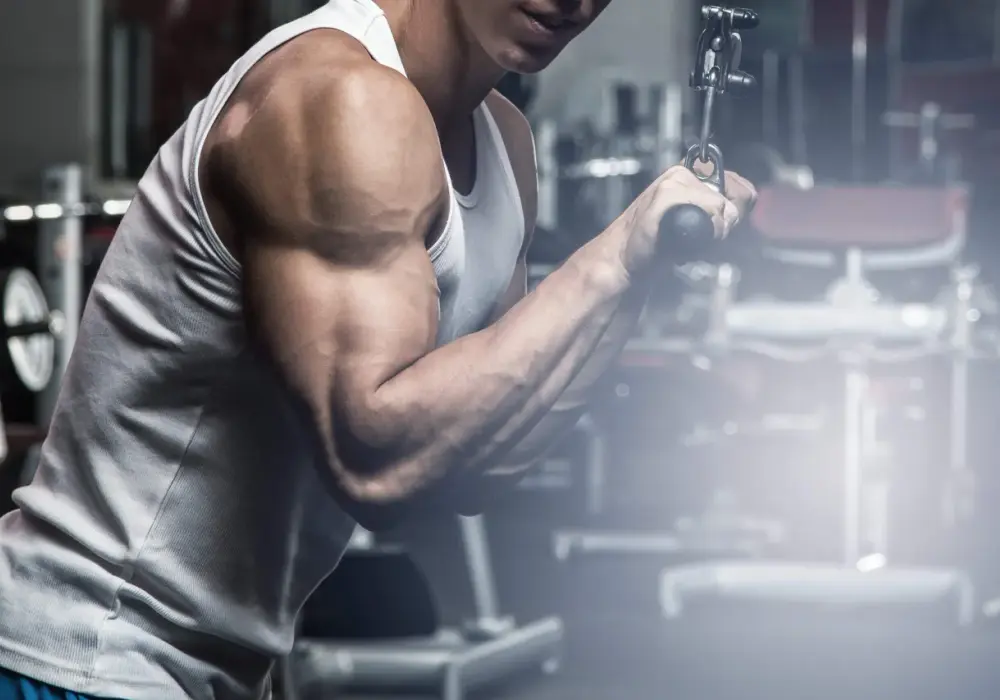 Gdzie jest triceps? Lokalizacja, budowa i funkcje mięśnia