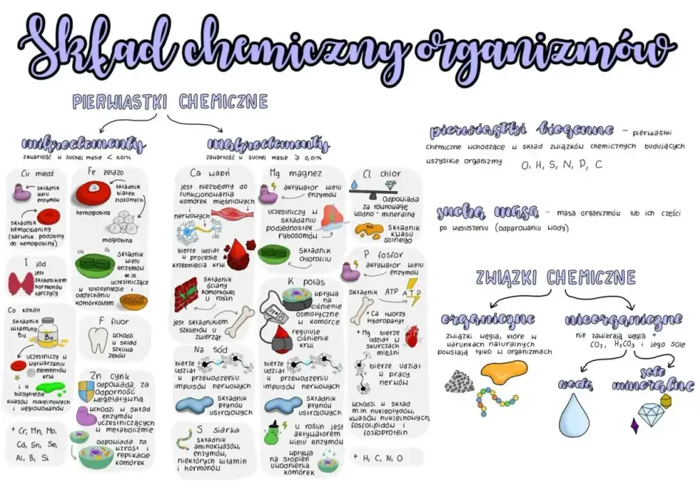 Skład chemiczny organizmów - Zrozum chemię życia bez chaosu
