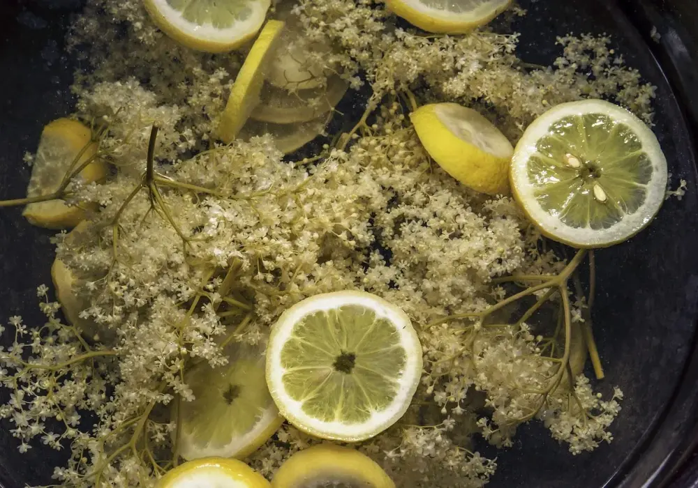 Domowy syrop z bzu do Hugo: przepis krok po kroku