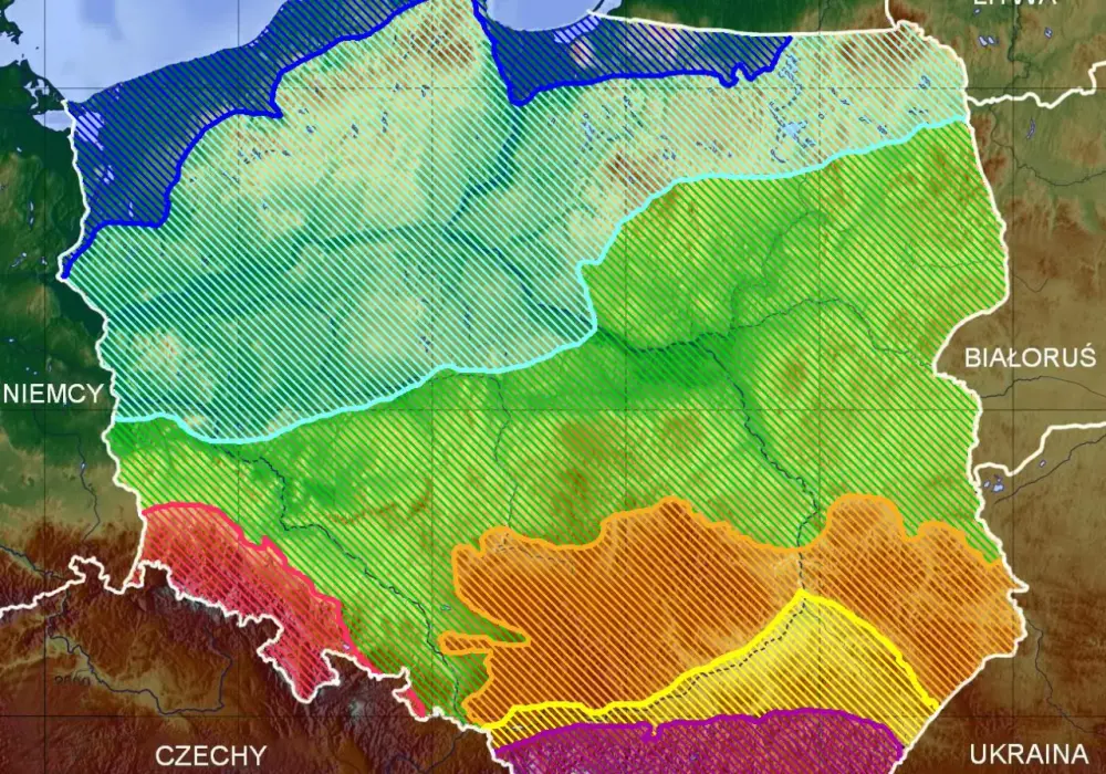 Pasy rzeźby terenu Polski – poznaj różnorodność krajobrazu kraju