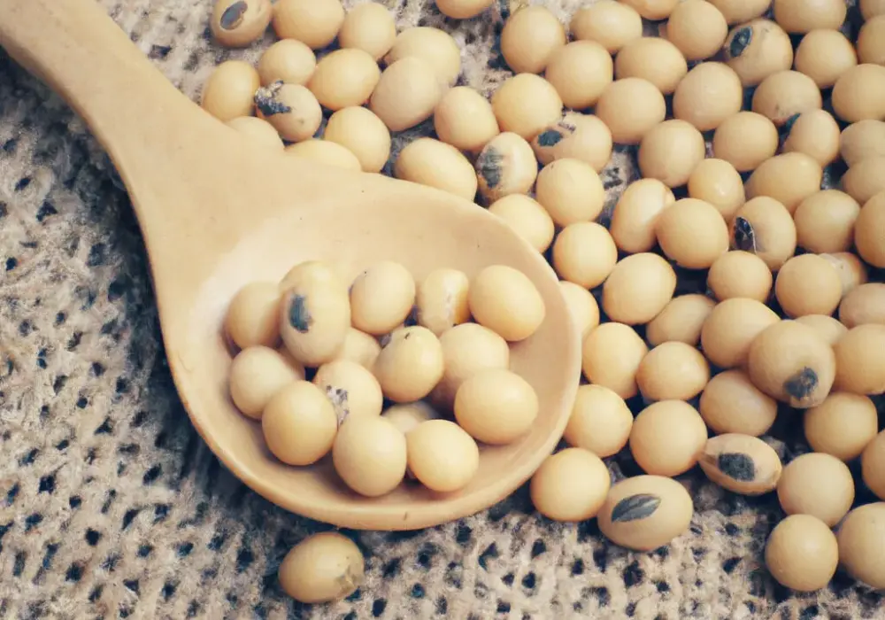 Czy soja ma gluten? Dowiedz się, co musisz wiedzieć o diecie bezglutenowej