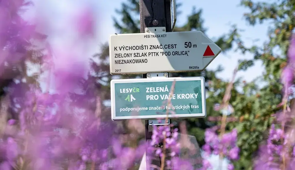 Najlepsze atrakcje w górach orlickich, które musisz zobaczyć