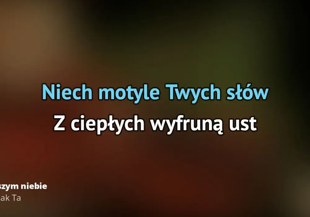 Tekst piosenki Cisza jak ta: poznaj kultowy utwór Budki Suflera
