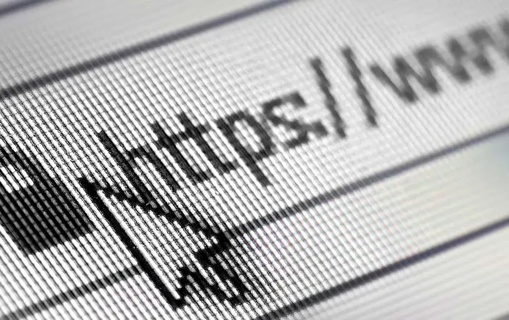 Gdzie znajduje się nazwa domeny strony internetowej w URL? Zobacz!