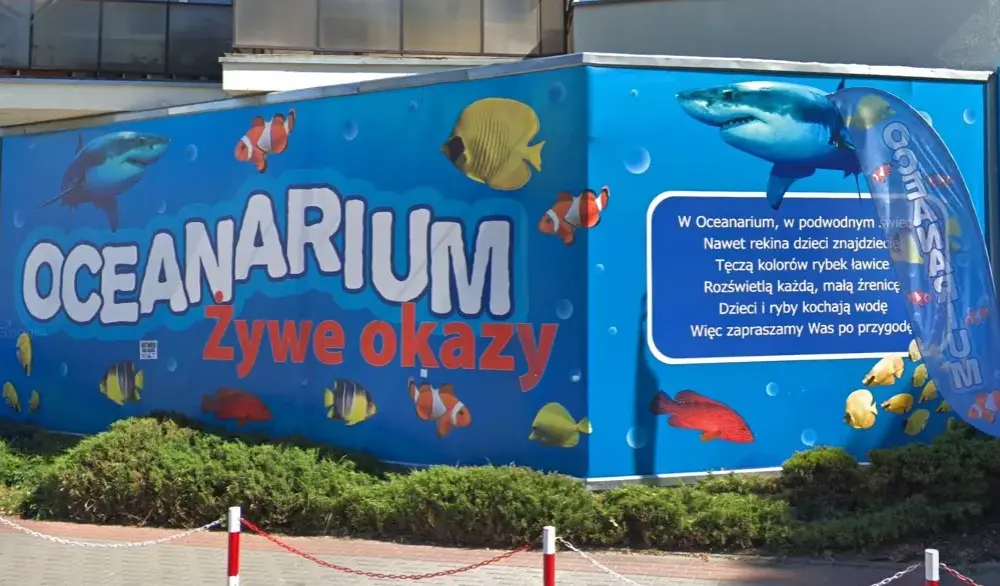 Ile kosztuje bilet do oceanarium w Kołobrzegu? Ceny i zniżki