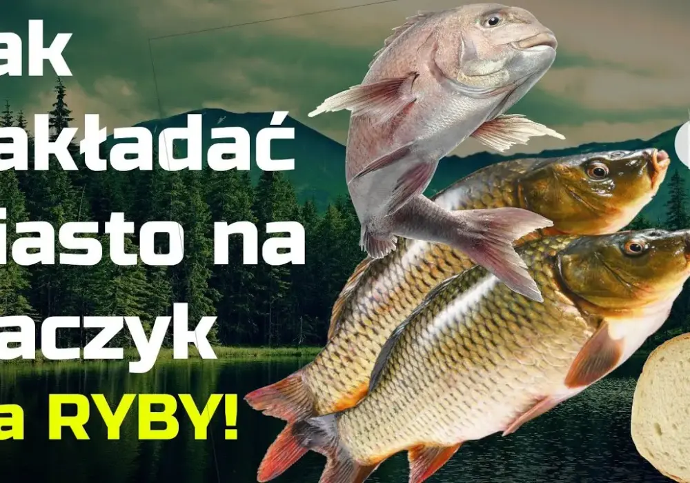 Jak zakładać ciasto na haczyk, aby skutecznie łowić ryby