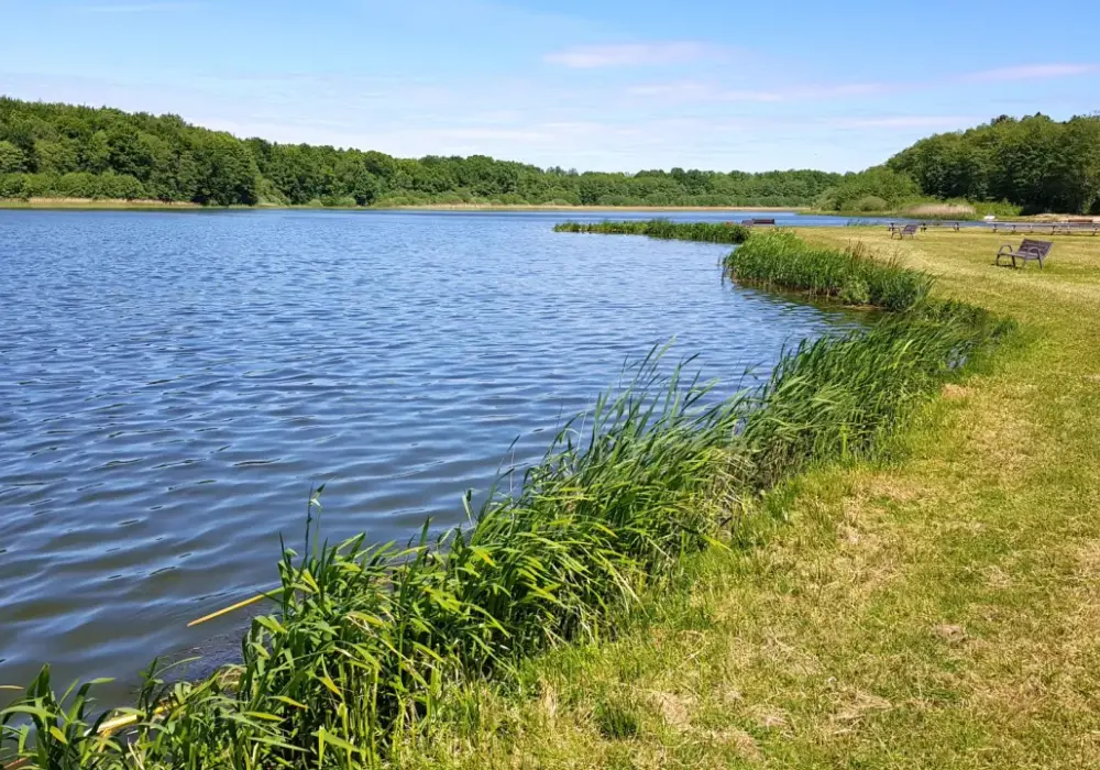Jezioro Ostrowieckie - co musisz wiedzieć przed pierwszą wizytą w 2025