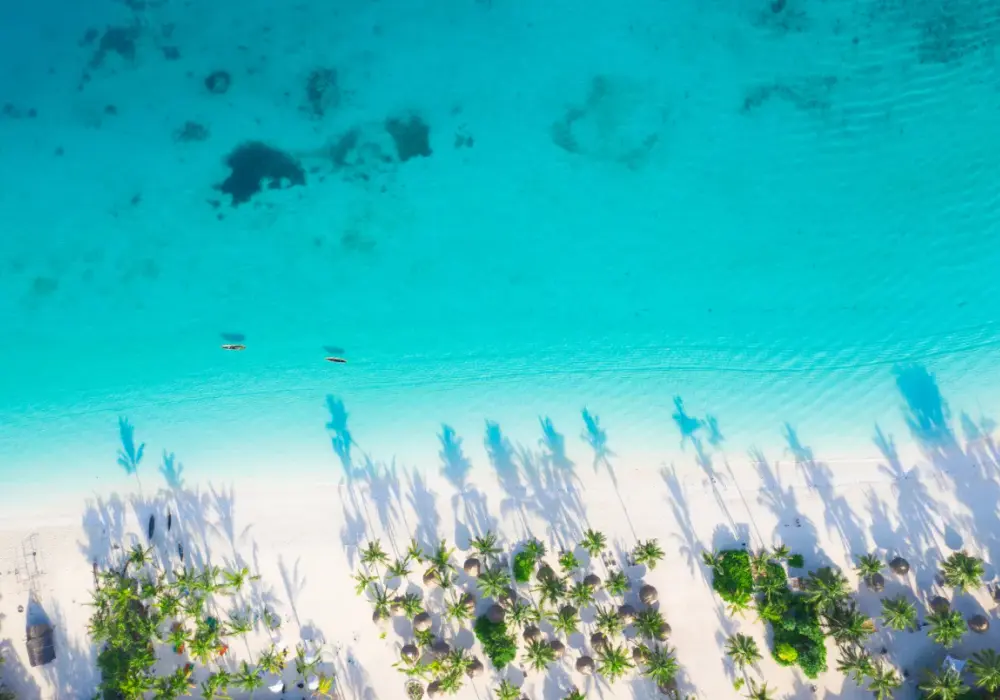 Ile trwa lot na Zanzibar z Polski? Wszystko, co musisz wiedzieć o czasie podróży na Zanzibar