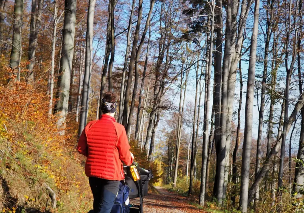 Gdzie w góry z dzieckiem w wózku? Sprawdź najlepsze trasy i porady dla rodzin