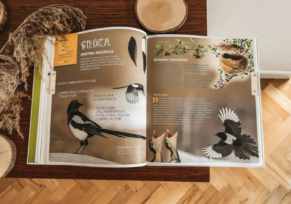 Najlepsze książki o ptakach, które warto przeczytać dla wiedzy i inspiracji