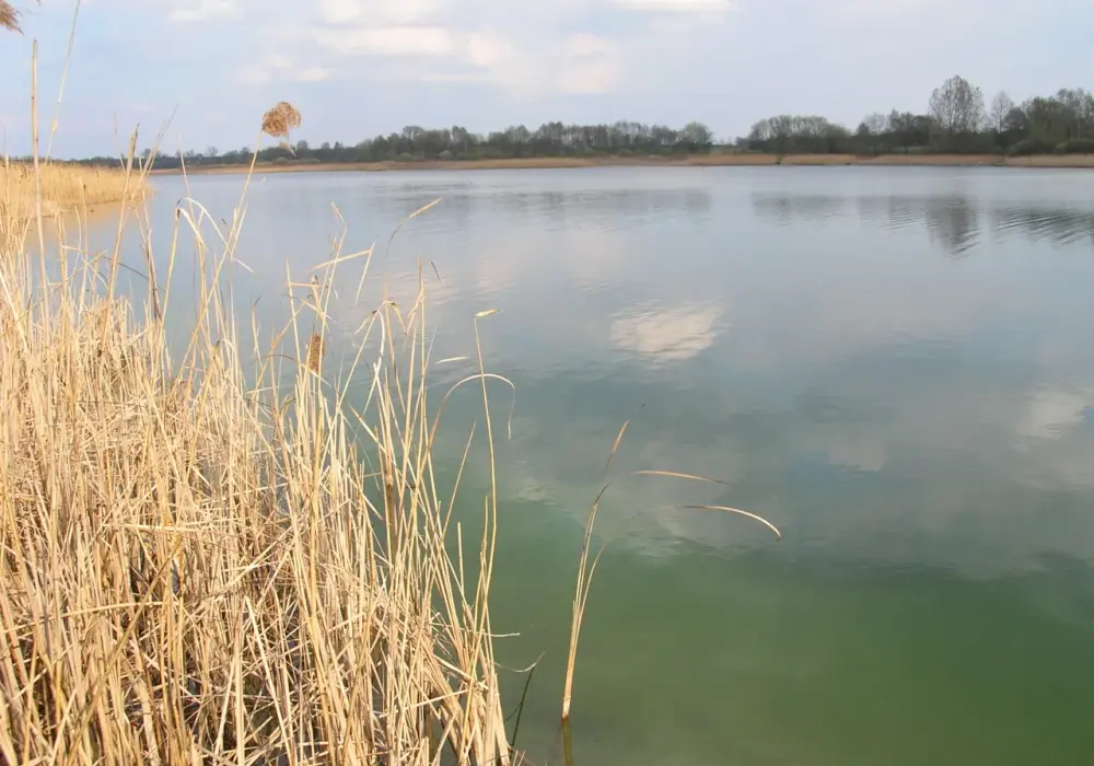 Jezioro Wilczyńskie - najlepsze miejsce na wypoczynek w Wielkopolsce