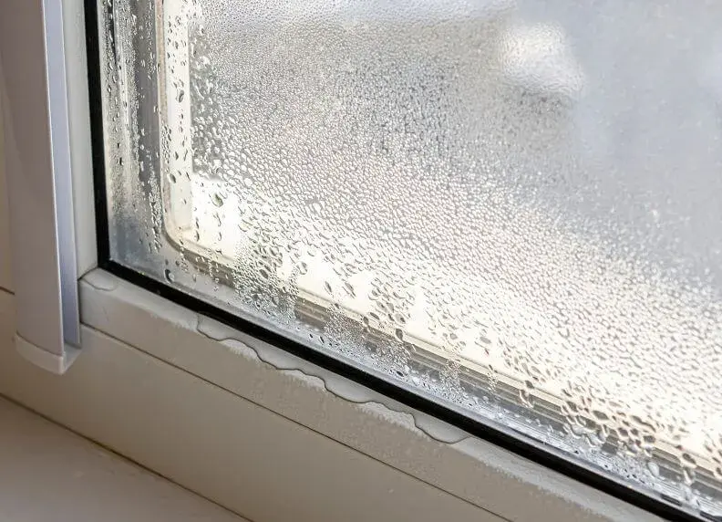 Dlaczego okna parują w domu? Zobacz skuteczne rozwiązania problemu