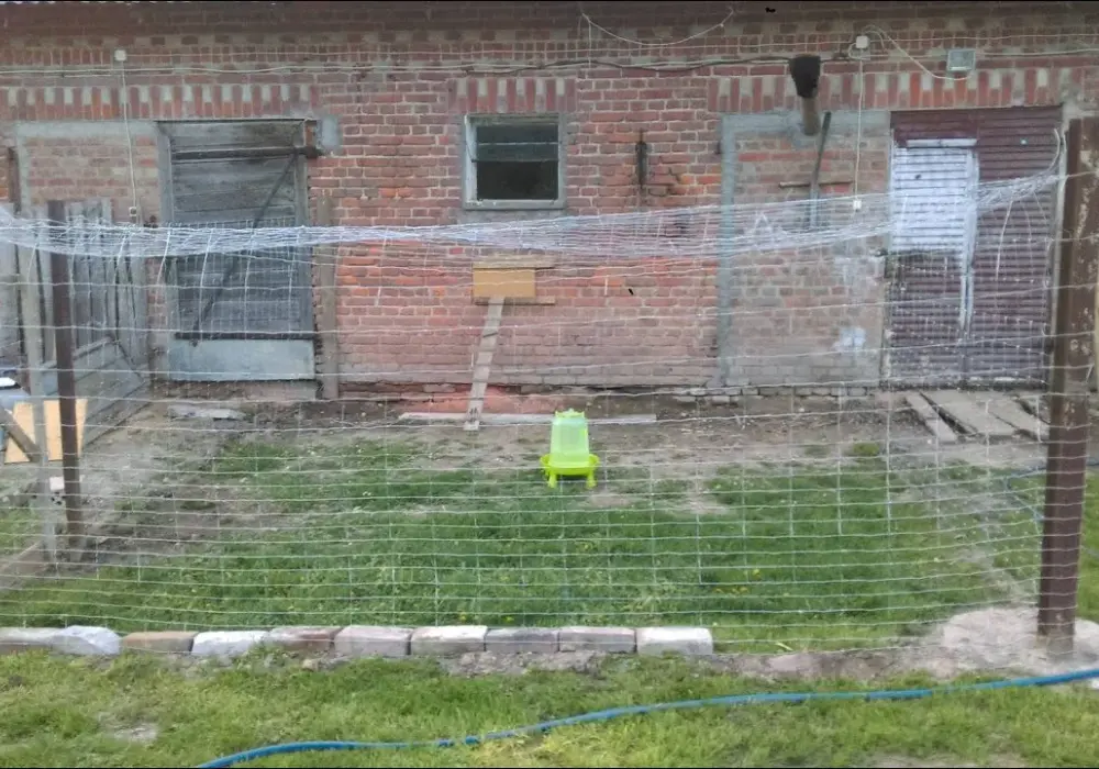 Jak zrobić ogrodzenie dla kur: Prosty poradnik krok po kroku