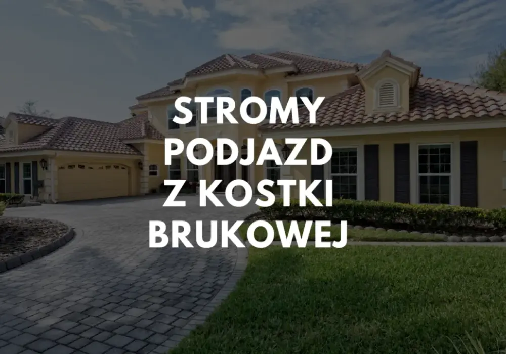 Jak wyłożyć stromy podjazd? Najlepsze materiały i rozwiązania dla bezpieczeństwa