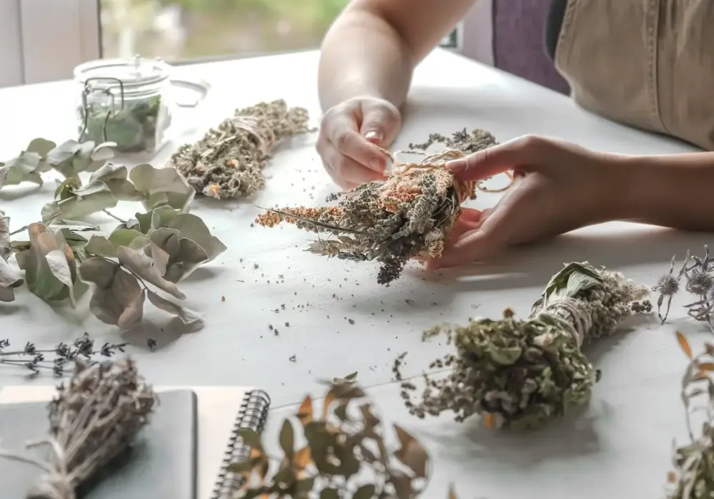 zioła i preparaty ziołowe, które mogą wspierać odchudzanie