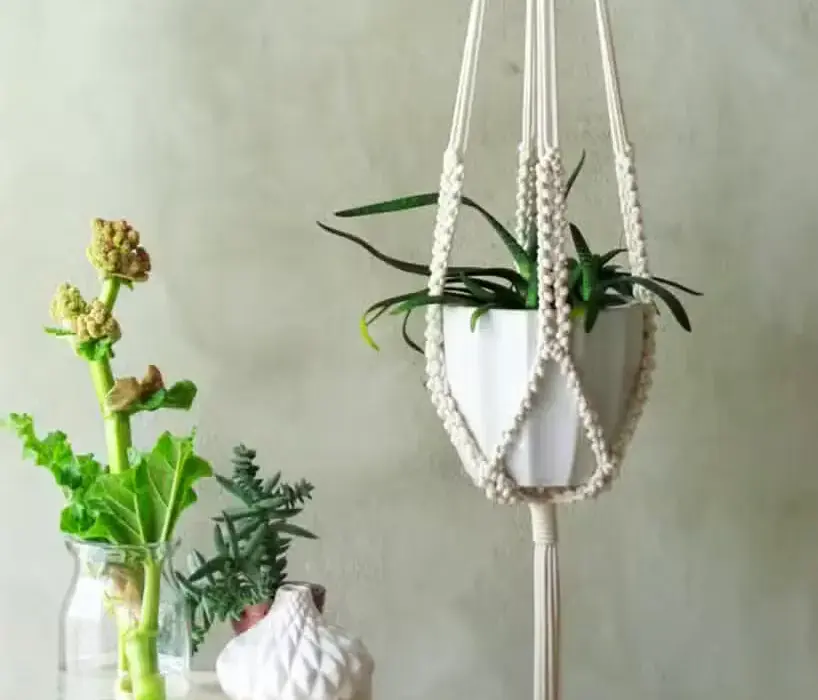 Jak zrobić kwietnik na ścianę: 5 prostych metod DIY krok po kroku