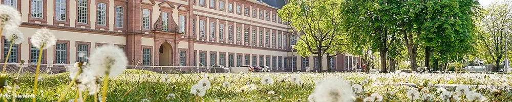 Studium Generale Uni Mannheim: Odkryj różnorodne kursy i szkolenia