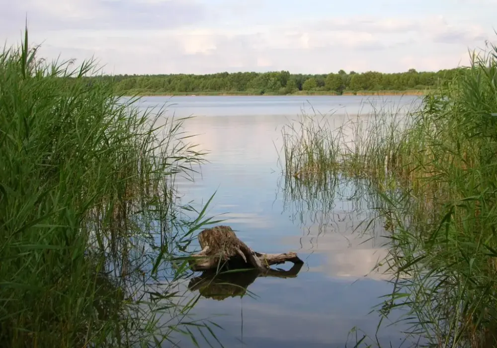 Jezioro Jezuickie: najlepsze kąpieliska i miejsca na rodzinny wypoczynek