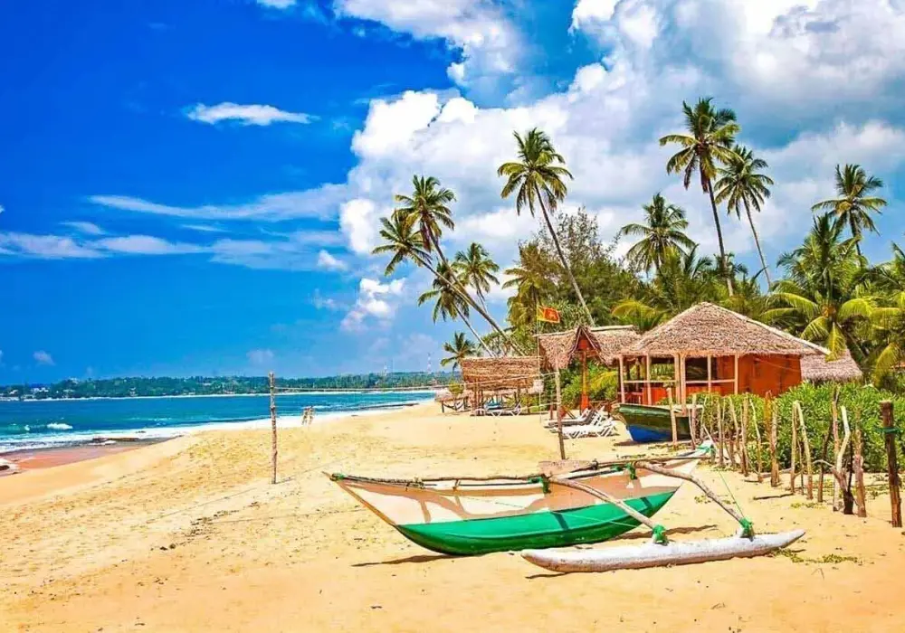 Sri Lanka: Kiedy jechać? Najlepszy czas na podróż i atrakcje