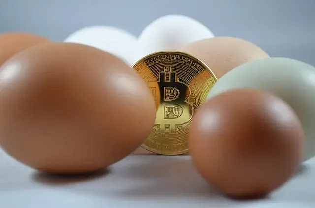 Które kryptowaluty mają przyszłość? Oto te, które mogą zaskoczyć inwestorów