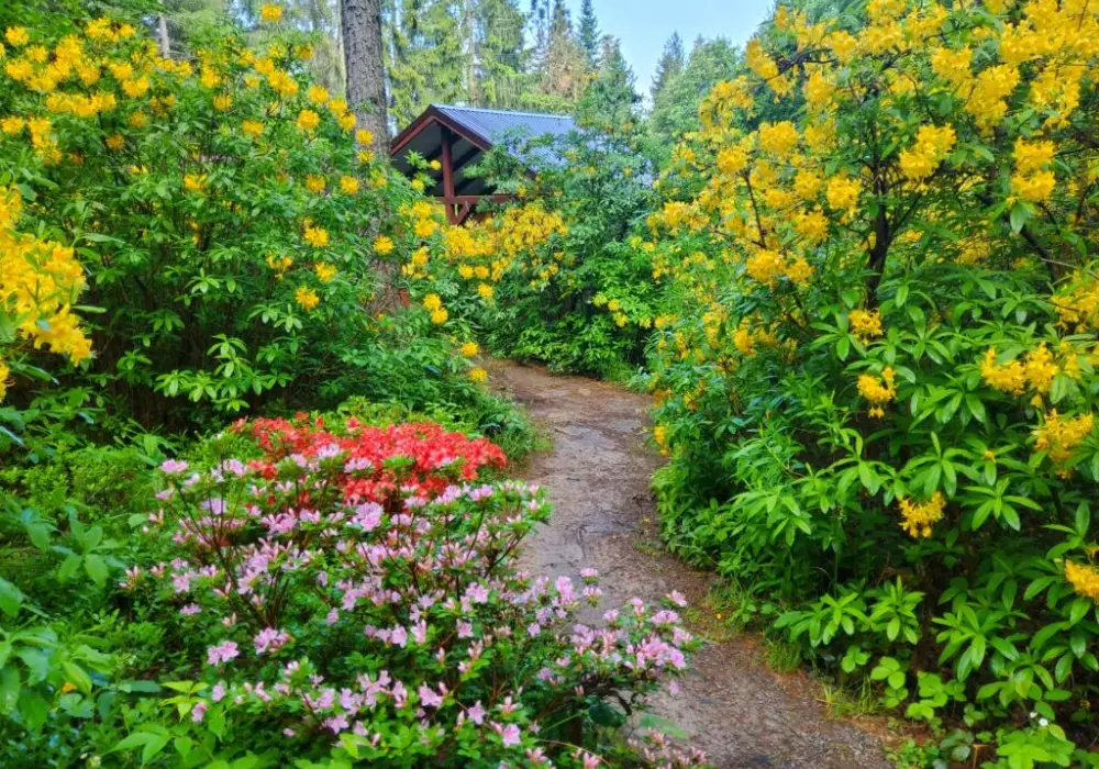 Arboretum Lądek Zdrój: czym zachwyca to wyjątkowe miejsce?