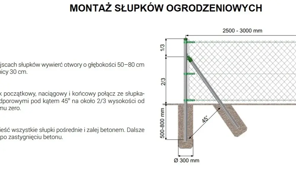 Ogrodzenie z siatki leśnej: Jak prawidłowo rozstawić słupki?