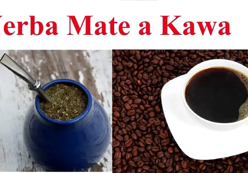 Yerba mate czy kawa – co wybrać dla lepszej koncentracji?