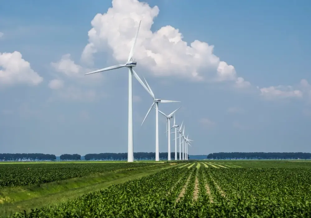 Jak elektrownie wiatrowe przyczyniają się do zrównoważonego rozwoju i ochrony środowiska