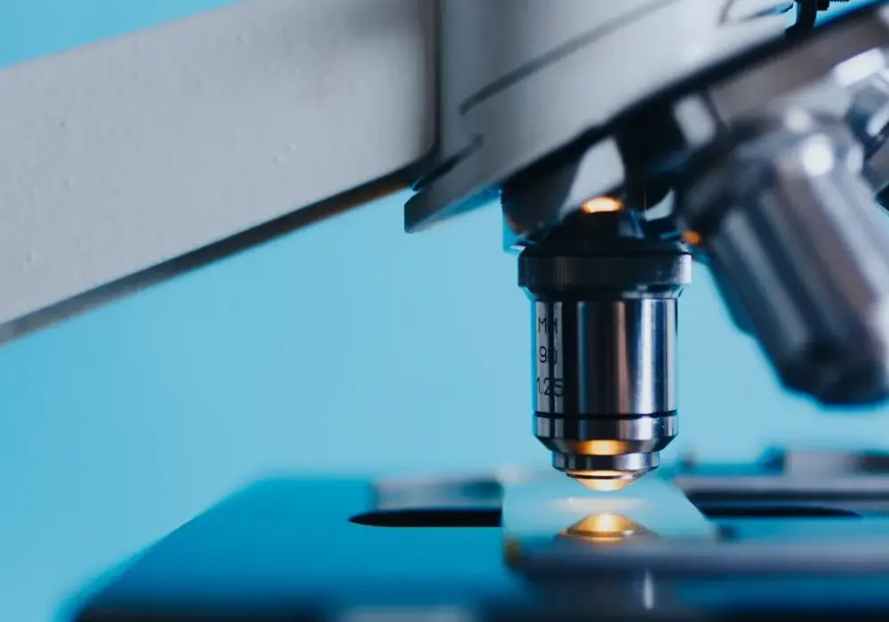 Co można studiować po biol-chem? Najlepsze kierunki i perspektywy zawodowe