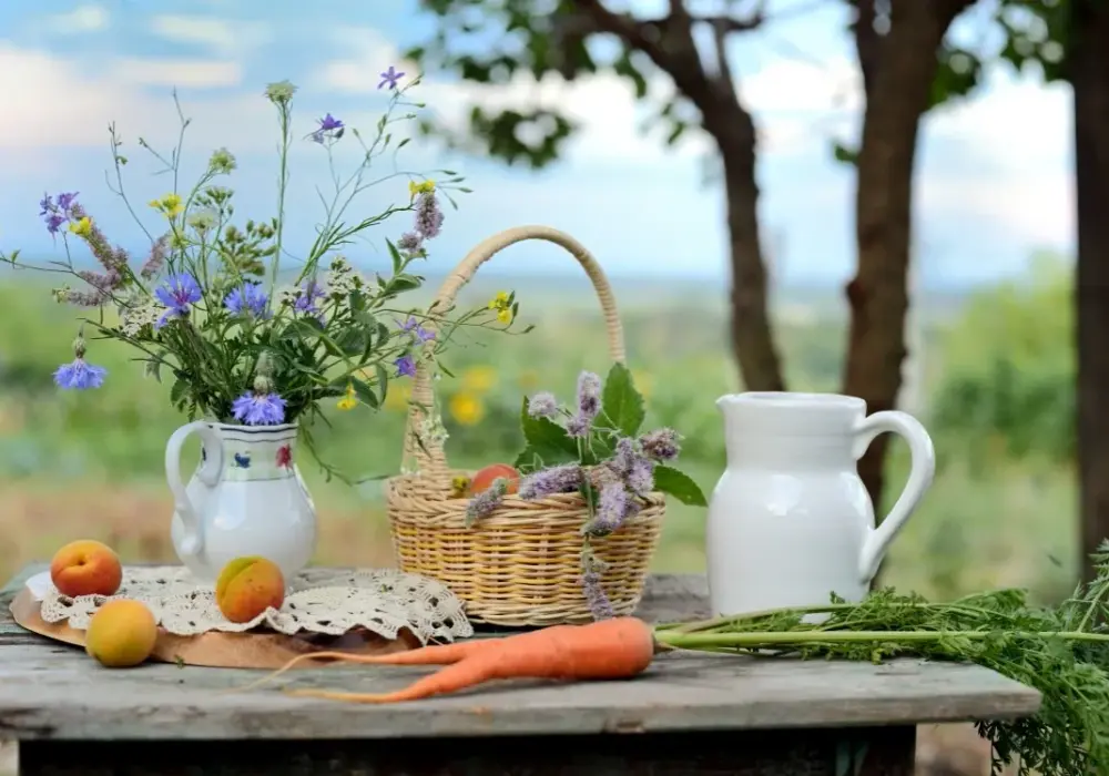 Co to jest agroturystyka? Odkryj jej zalety i wyjątkowe atrakcje