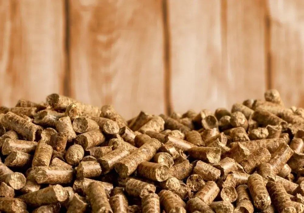 Gdzie kupić pellet w Czechach? Najlepsze oferty i opinie klientów