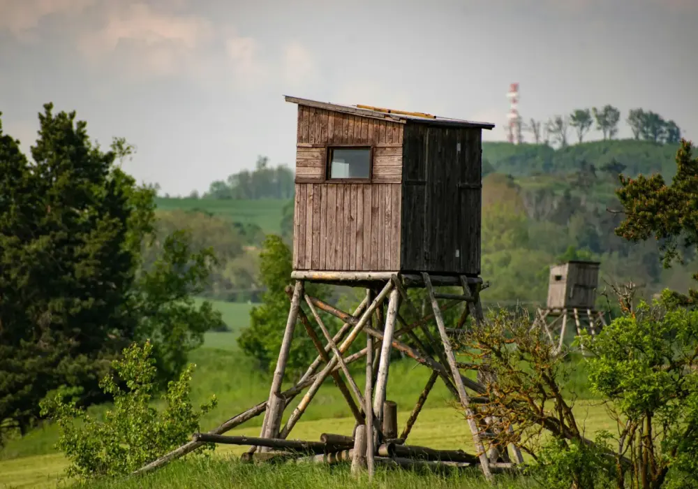 Ambon myśliwskich projekt i budowa: kompletny poradnik techniczny