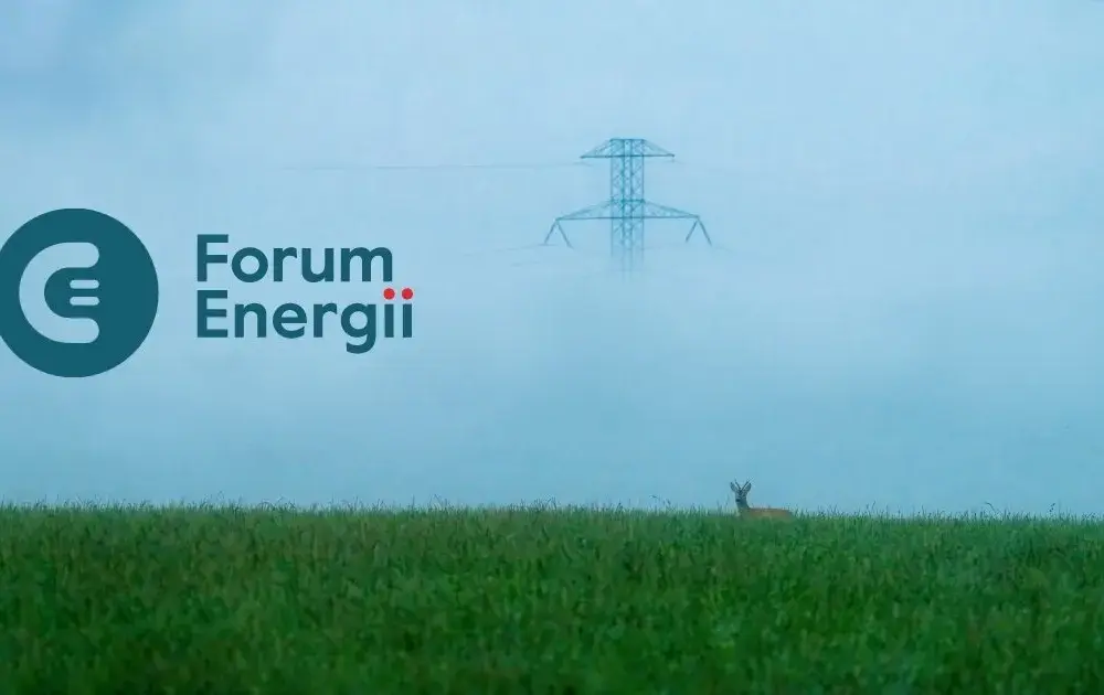 Ile prądu zużywa Polska? Zaskakujące statystyki i trendy energii