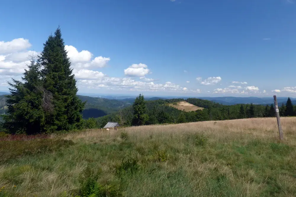 Ile km ma główny szlak beskidzki? Odkryj jego długość i trasy