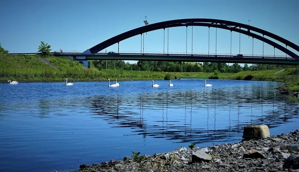 Jezioro Farskie - wszystko co musisz wiedzieć przed wędkowaniem w 2025