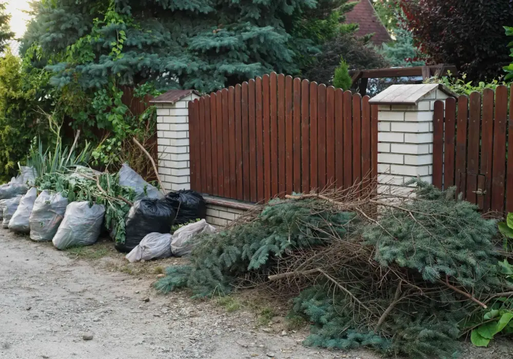 Gdzie wyrzucić gałęzie z działki? Sprawdź najlepsze opcje utylizacji