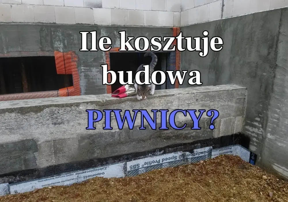 Ile kosztuje wybudowanie piwnicy? Sprawdź, co wpływa na ceny