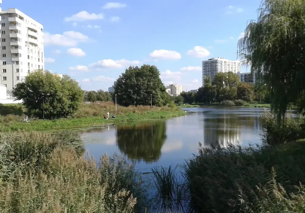 Jezioro Gocławskie - zielona enklawa dzikiej przyrody w centrum Warszawy