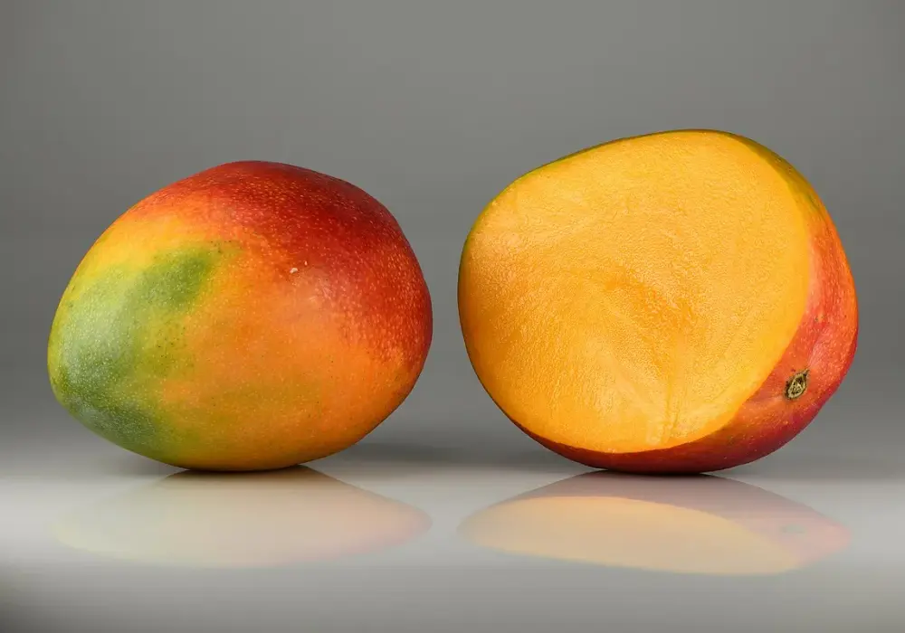 Poznaj wszystkie miejsca gdzie rośnie mango - lista najpopularniejszych regionów