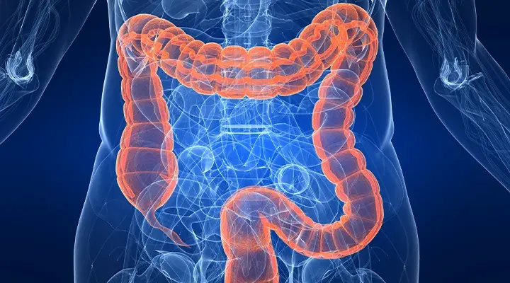 Cea co to za badanie i jak wpływa na diagnostykę nowotworów