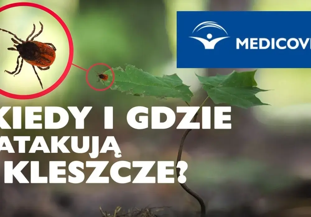 Kiedy atakują kleszcze? Poznaj niebezpieczeństwo w sezonie letnim