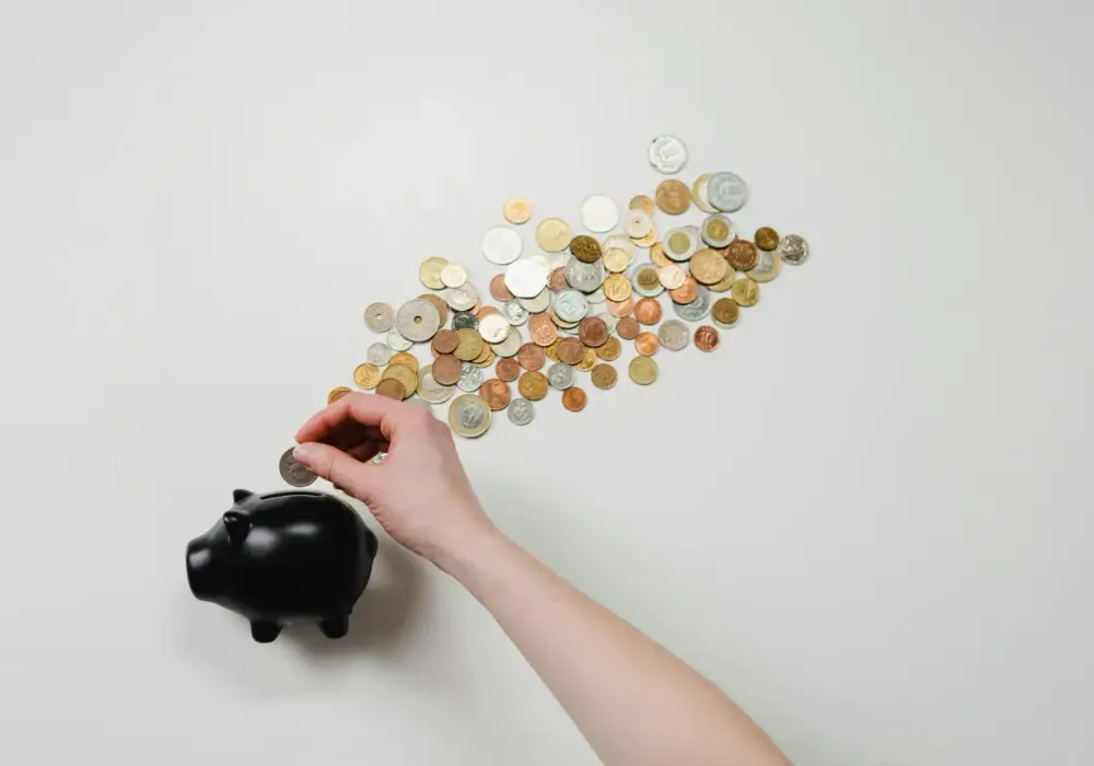 Dofinansowanie do fotowoltaiki 2025 – jak uzyskać dotację?