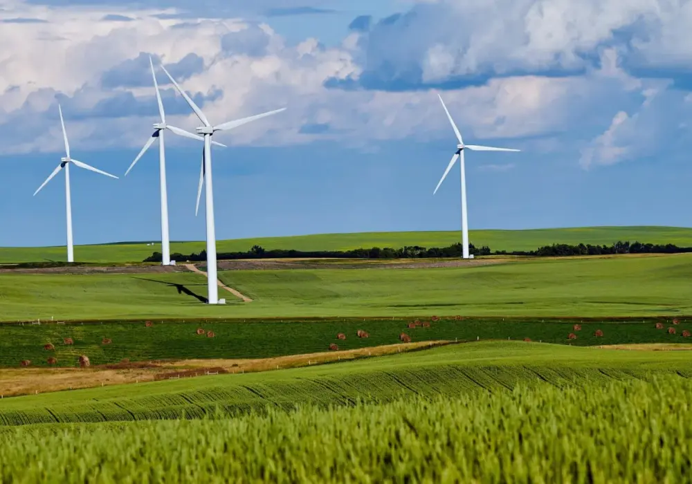 Ile można zarobić na elektrowni wiatrowej? Zaskakujące fakty o zyskach