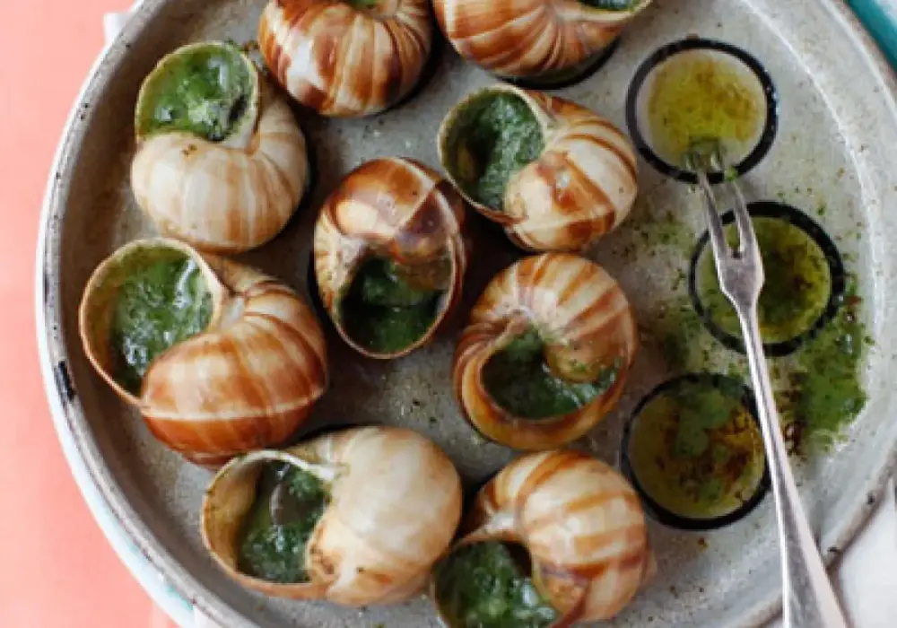 Escargots: Jak przygotować te wyjątkowe francuskie ślimaki?